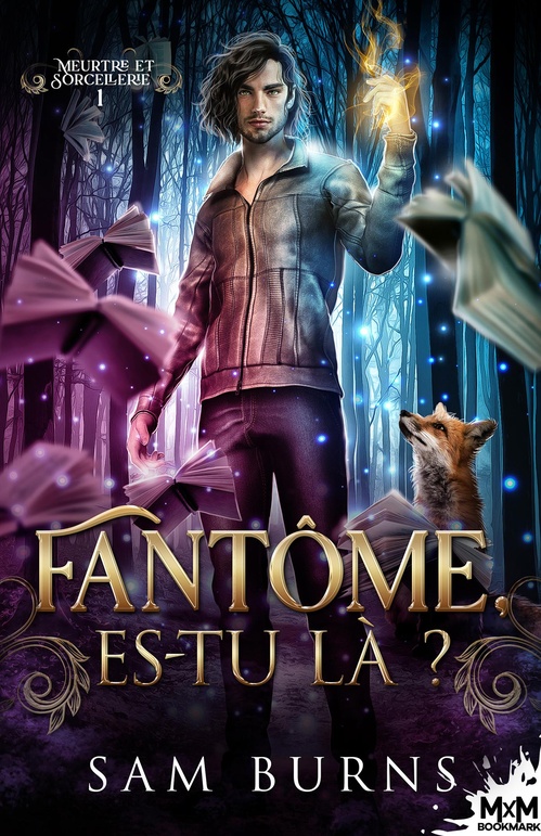 Couverture ebook de Fantôme, es-tu là ?, de Sam Burns