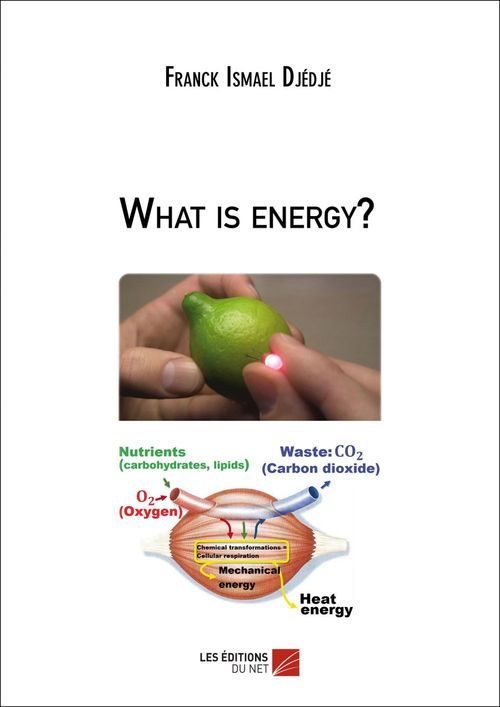 Couverture ebook de What is energy?, de Franck-Ismael Djédjé