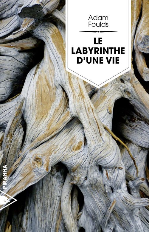 Couverture ebook de Le labyrinthe d'une vie, de Adam Foulds