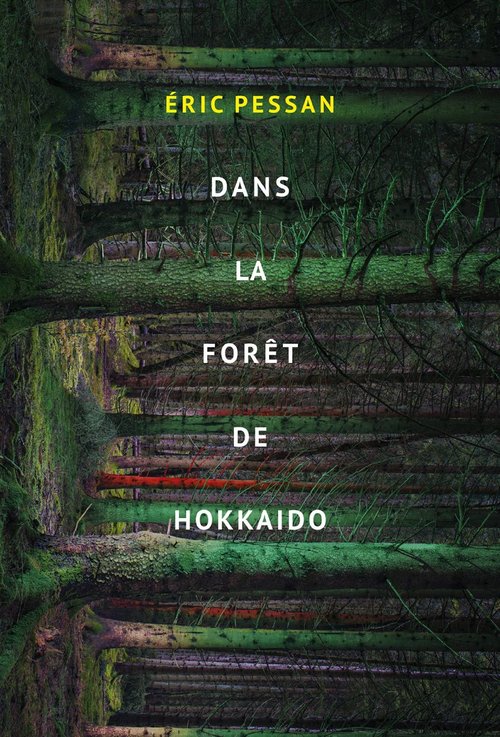 Couverture ebook de Dans la forêt d´Hokkaido, de Eric Pessan