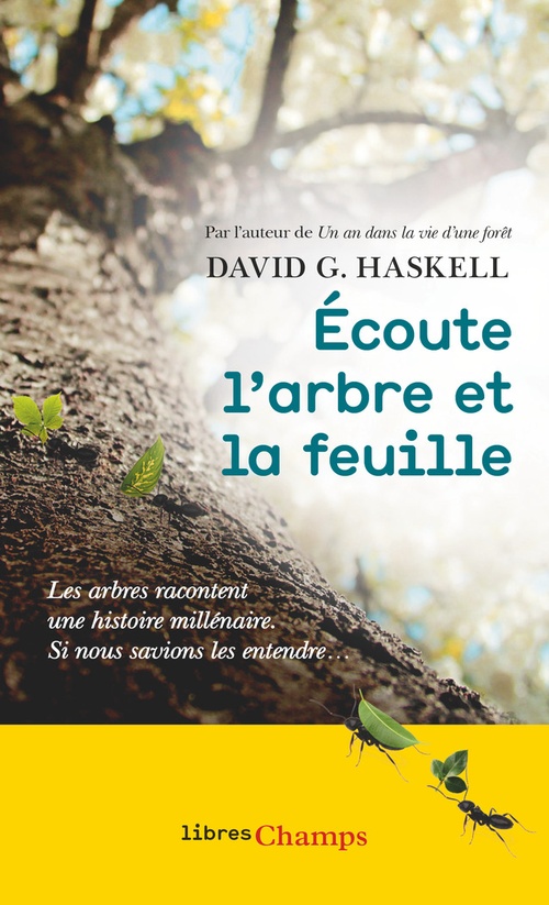 ebook cover of Écoute l´arbre et la feuille, by David george Haskell, Valentine Plessy