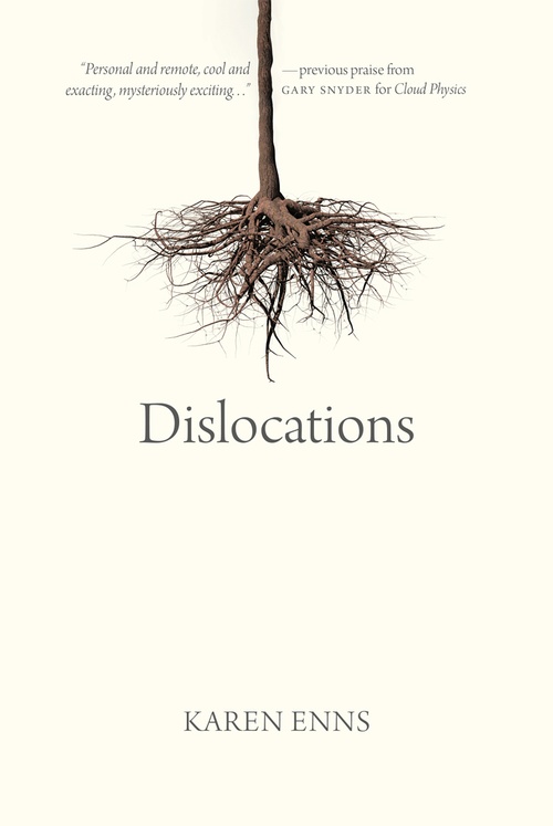 ebook cover of Dislocations, by Karen Enns