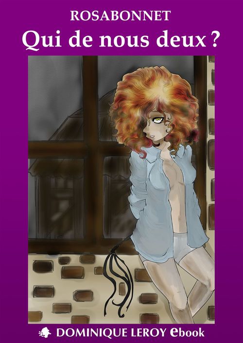 Couverture ebook de Qui de nous deux ?, de Rosabonnet