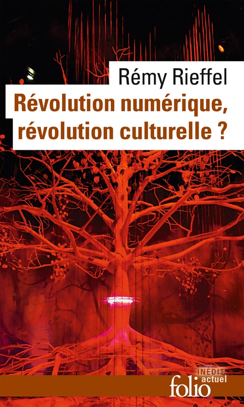 Couverture ebook de Révolution numérique, révolution culturelle ?, de Rémy Rieffel