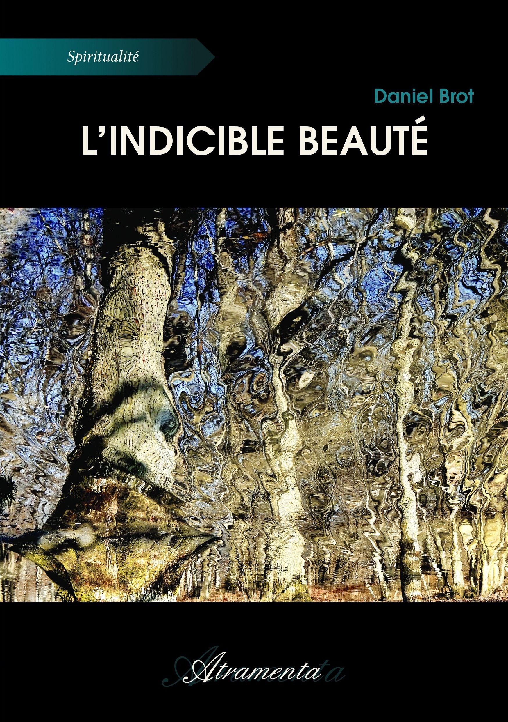 Couverture ebook de L´indicible beauté, de Daniel Brot