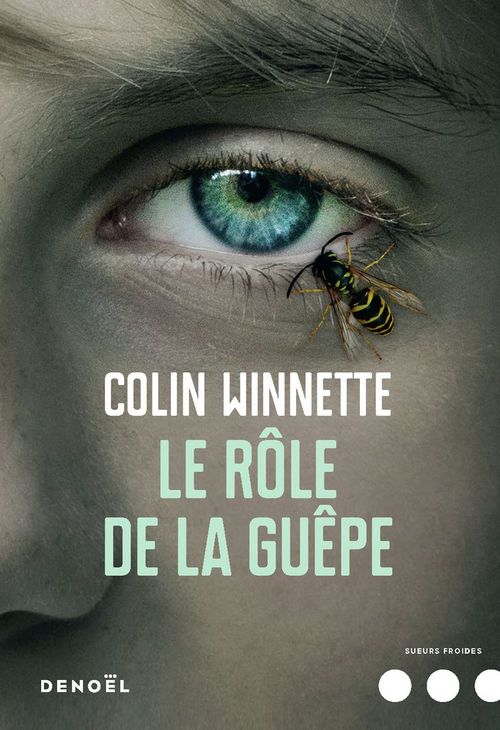 ebook cover of Le Rôle de la guêpe, by Colin Winnette