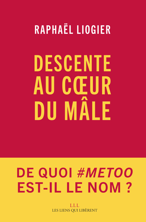 ebook cover of Descente au coeur du mâle, by Raphaël Liogier