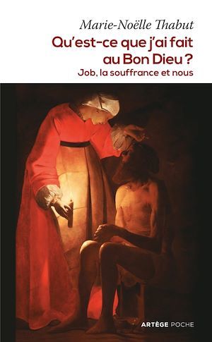 ebook cover of Qu'est-ce que j'ai fait au Bon Dieu ?, by Marie-Noëlle Thabut