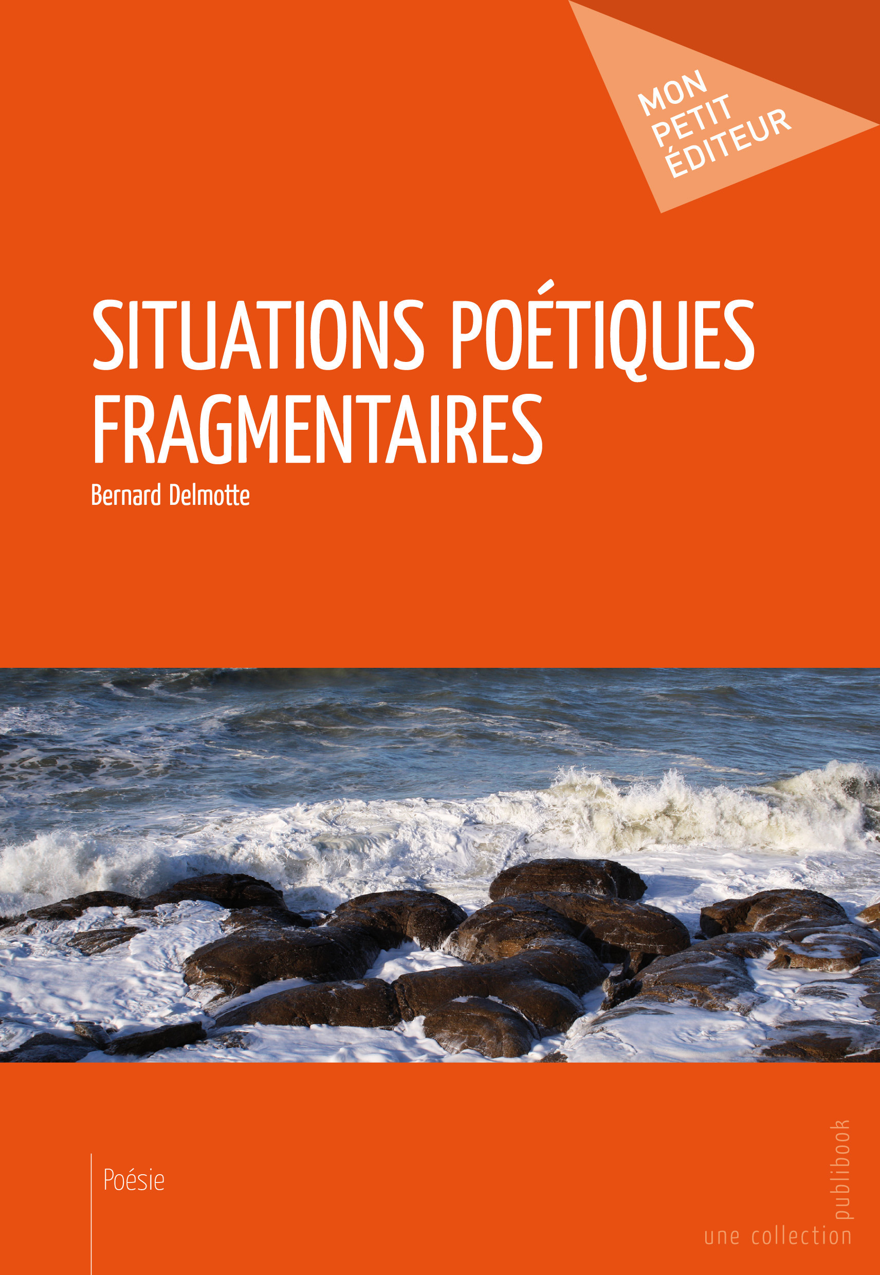 Couverture ebook de Situations poétiques fragmentaires, de Bernard Delmotte