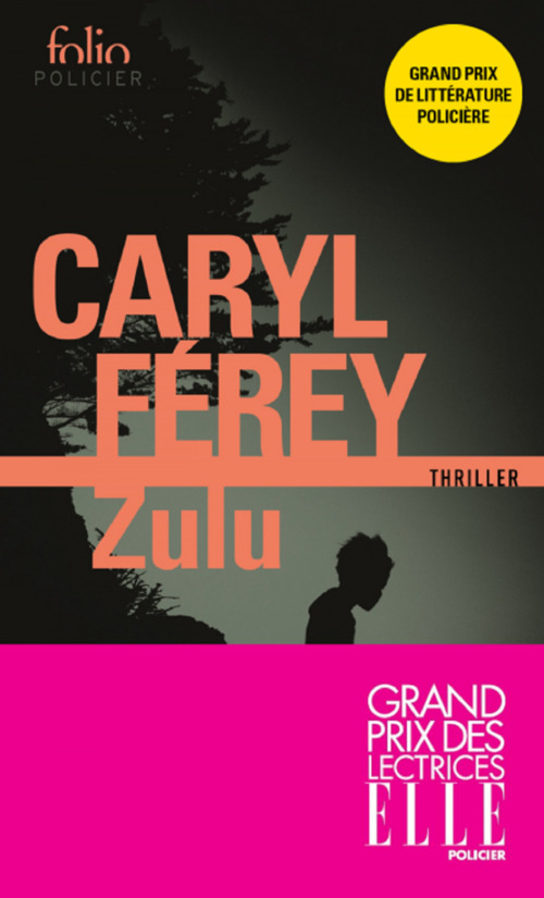 Couverture ebook de Zulu, de Caryl Férey