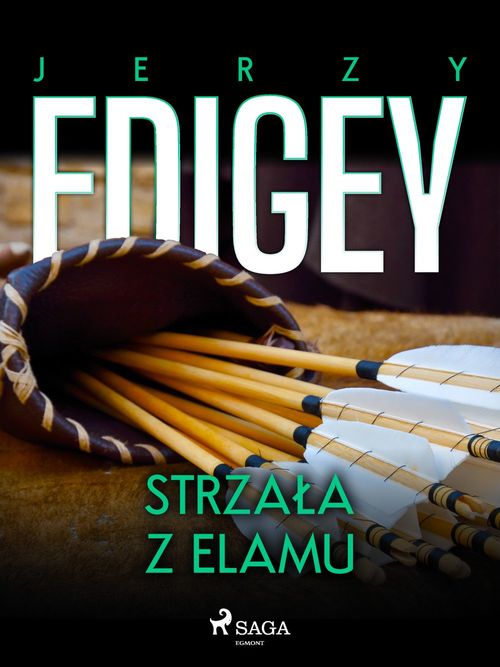 ebook cover of Strzala z Elamu, by Jerzy Edigey