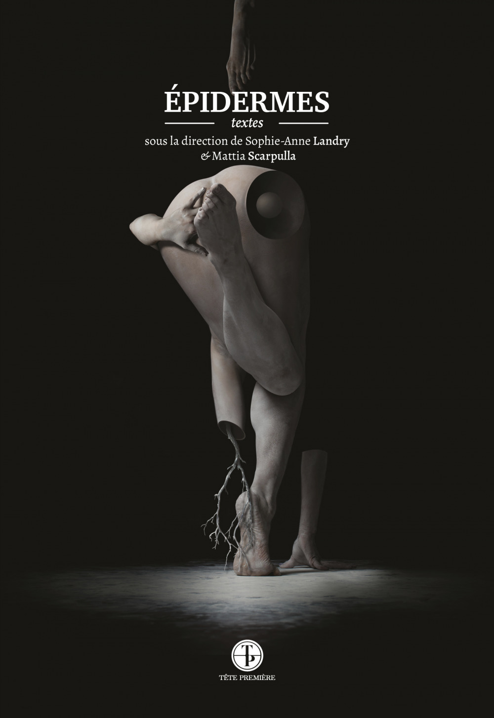Couverture ebook de Épidermes, de Landry Anne-Sophie