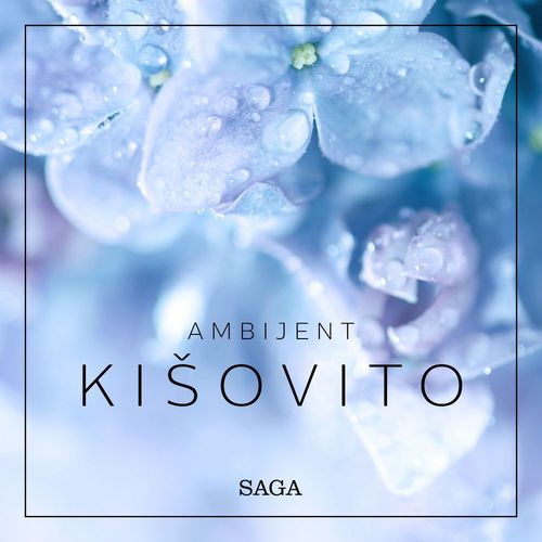 audiobook cover of Ambijent - Kisovito, by Rasmus Broe