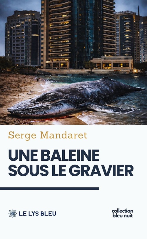 ebook cover of Une baleine sous le gravier, by Serge Mandaret