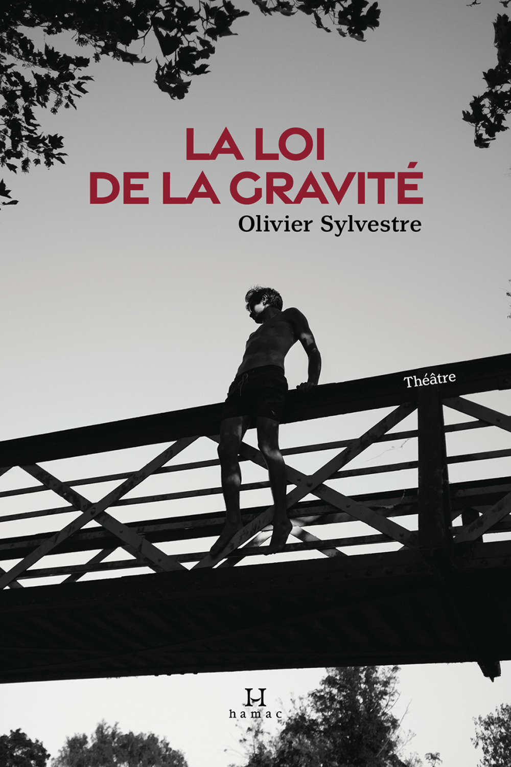 Couverture ebook de La loi de la gravité, de Sylvestre Olivier
