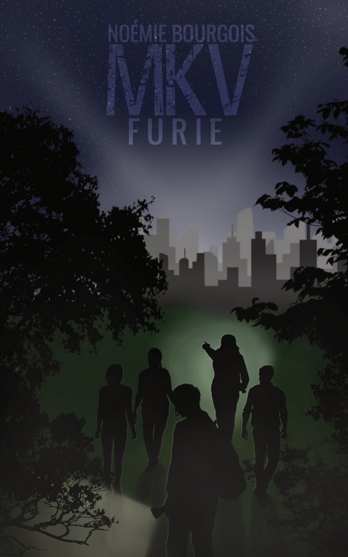Couverture ebook de Furie, de Noémie Bourgois