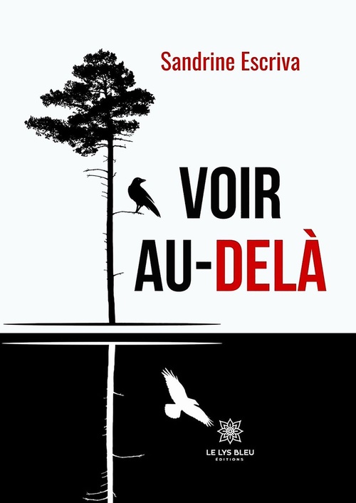 ebook cover of Voir au-delà, by Sandrine Escriva