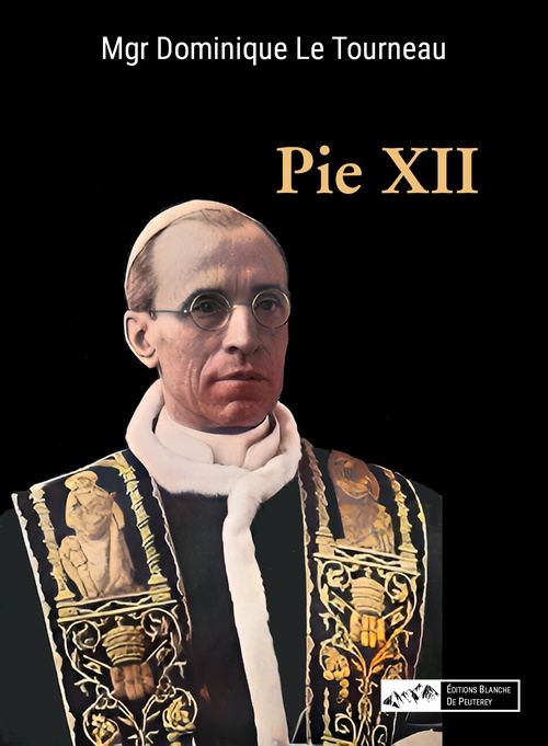 ebook cover of Pie XII, by Dominique Le Tourneau