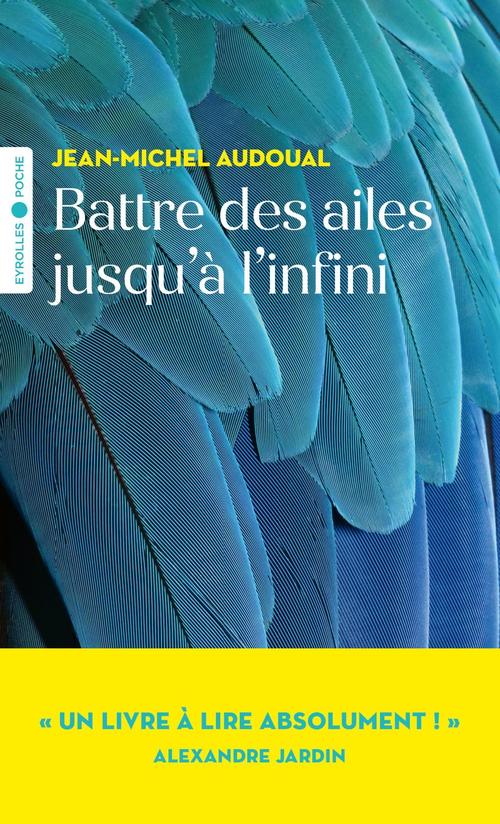 Couverture ebook de Battre des ailes jusqu'à l'infini, de Jean-Michel Audoual