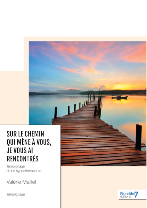 ebook cover of Sur le chemin qui mène à vous, je vous ai rencontrés, by Valérie Maillet