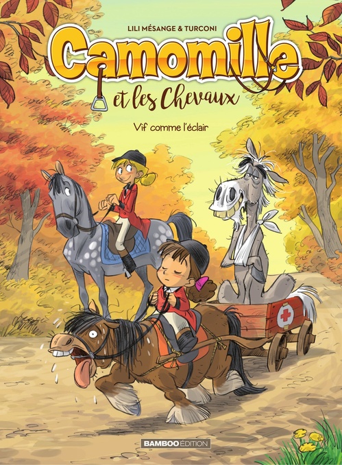 Couverture ebook de Camomille et les chevaux - Tome 6, de Brrémaud, Lili Mésange, Stefano Turconi