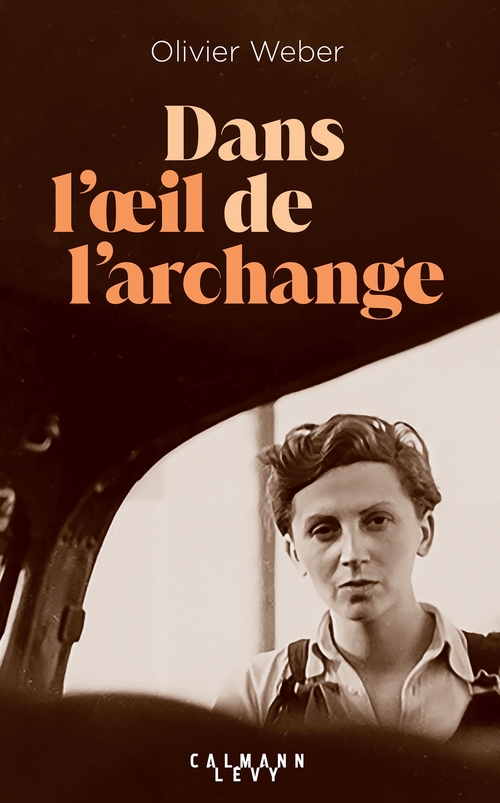ebook cover of Dans l'oeil de l'archange, by Olivier Weber