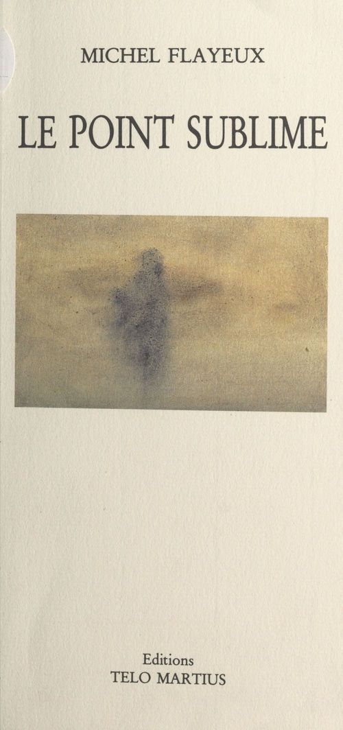 ebook cover of Le point sublime, by Michel Flayeux