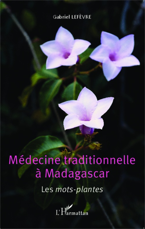 Couverture ebook de Médecine traditionnelle à Madagascar, de Gabriel Lefevre