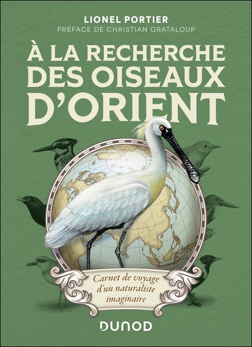 Couverture ebook de A la recherche des oiseaux d'Orient, de Lionel Portier
