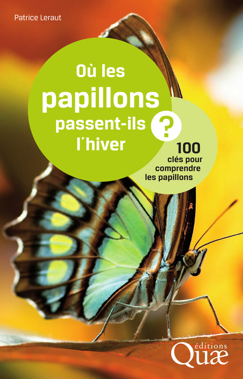 ebook cover of Où les papillons passent-ils l'hiver ?, by Patrice Leraut