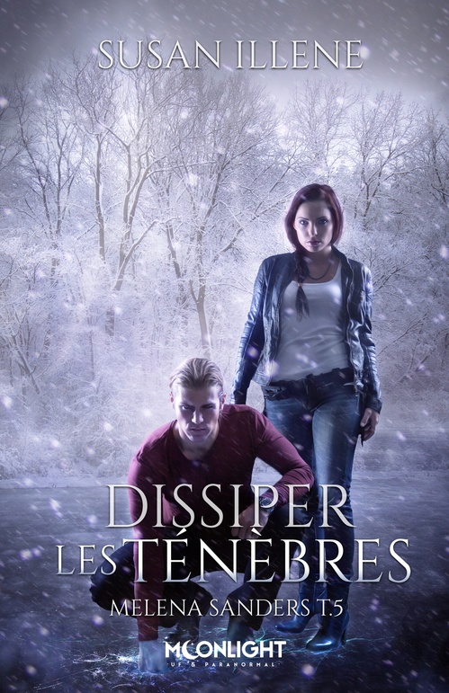 Couverture ebook de Dissiper les Ténèbres, de Susan Illene