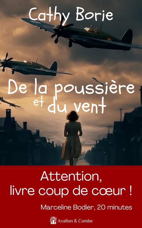 Couverture ebook de De la poussière et du vent, de Cathy Borie
