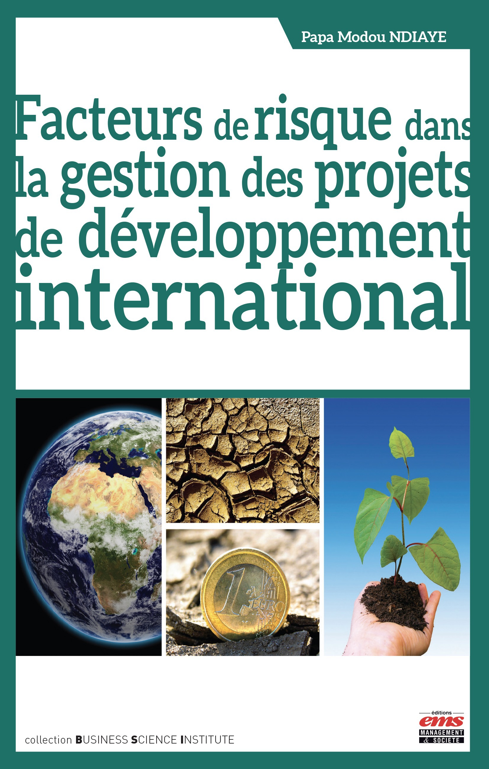 ebook cover of Facteurs de risque dans la gestion des projets de développement international, by Papa modou Ndiaye