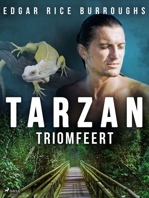 Couverture ebook de Tarzan triomfeert, de Edgar Rice Burroughs