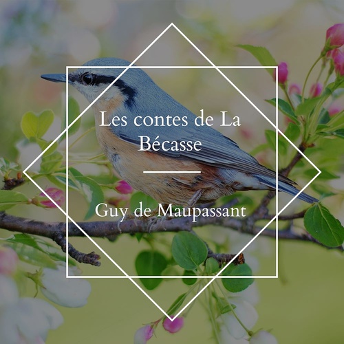 audiobook cover of Les contes de La Bécasse, by Guy De Maupassant