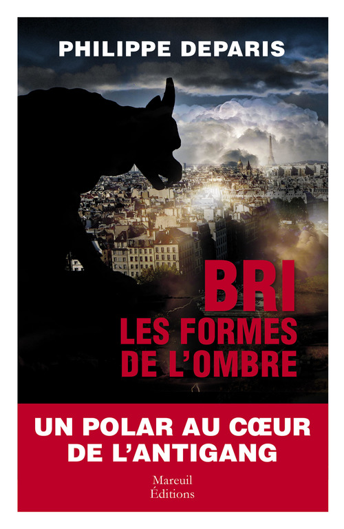 ebook cover of BRI les formes de l'ombre, by Philippe Deparis