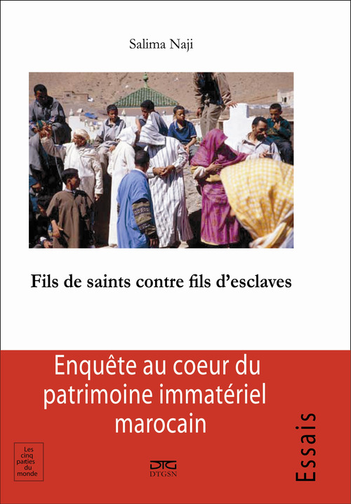 ebook cover of Fils de saints contre fils d´esclaves, by Salima Naji