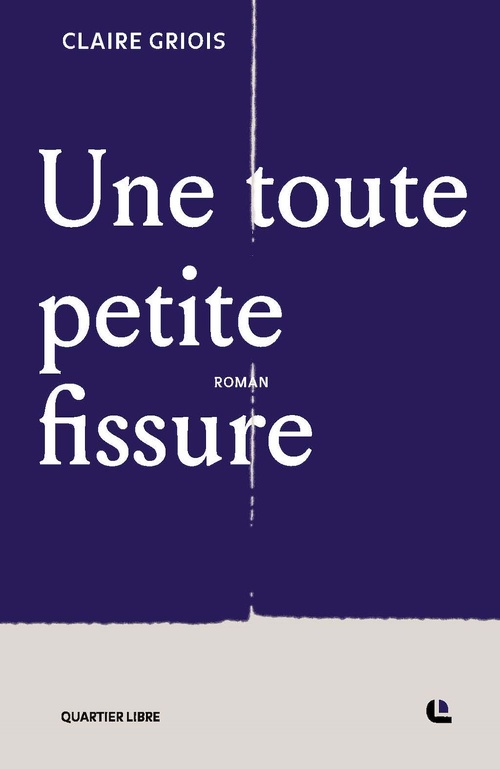 ebook cover of Une toute petite fissure, by Claire Griois