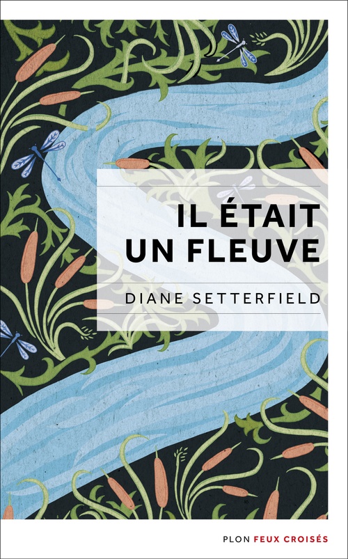 Couverture ebook de Il était un fleuve, de Diane Setterfield