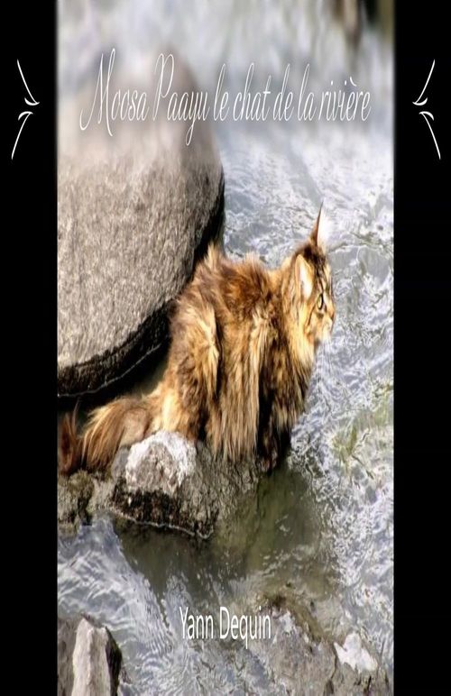 Couverture ebook de Moosa Paayu, de Yann Dequin