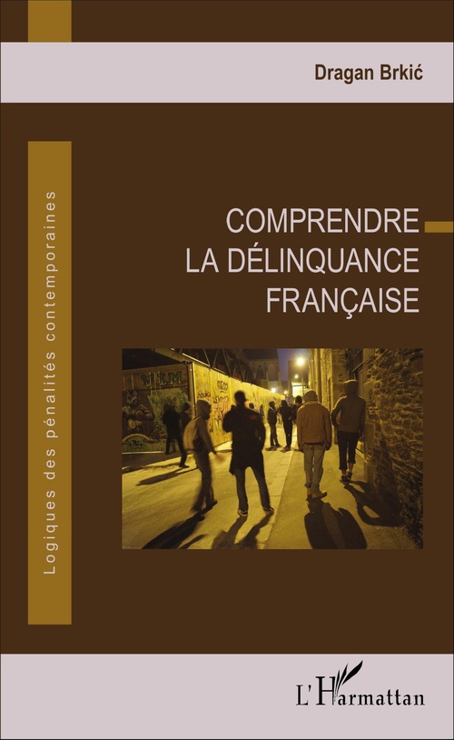 ebook cover of Comprendre la délinquance française, by Dragan Brkic
