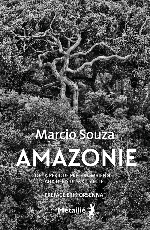ebook cover of Amazonie : De la période précolombienne aux défis du XXIe siècle, by Marcio Souza
