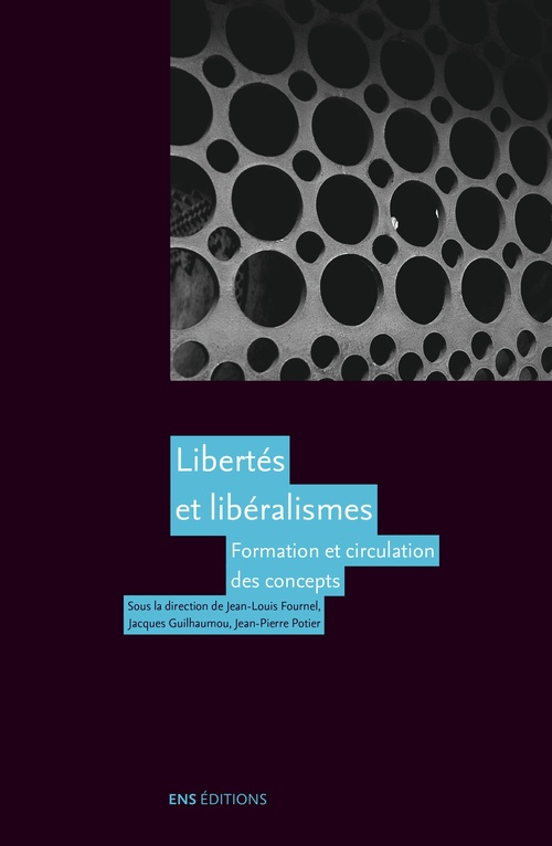 ebook cover of Libertés et libéralismes, by Jean-Louis Fournel