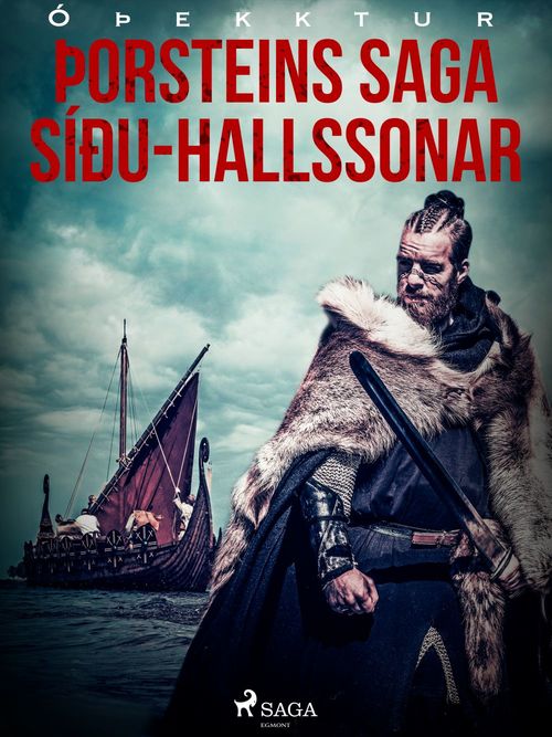 ebook cover of Þorsteins saga Síðu-Hallssonar , by -  OþEkktur