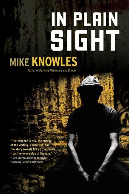 ebook cover of In Plain Sight, by Dr. Neil Mackinnon And Dr. Rhond Church, Mike Knowles, Jo Storm