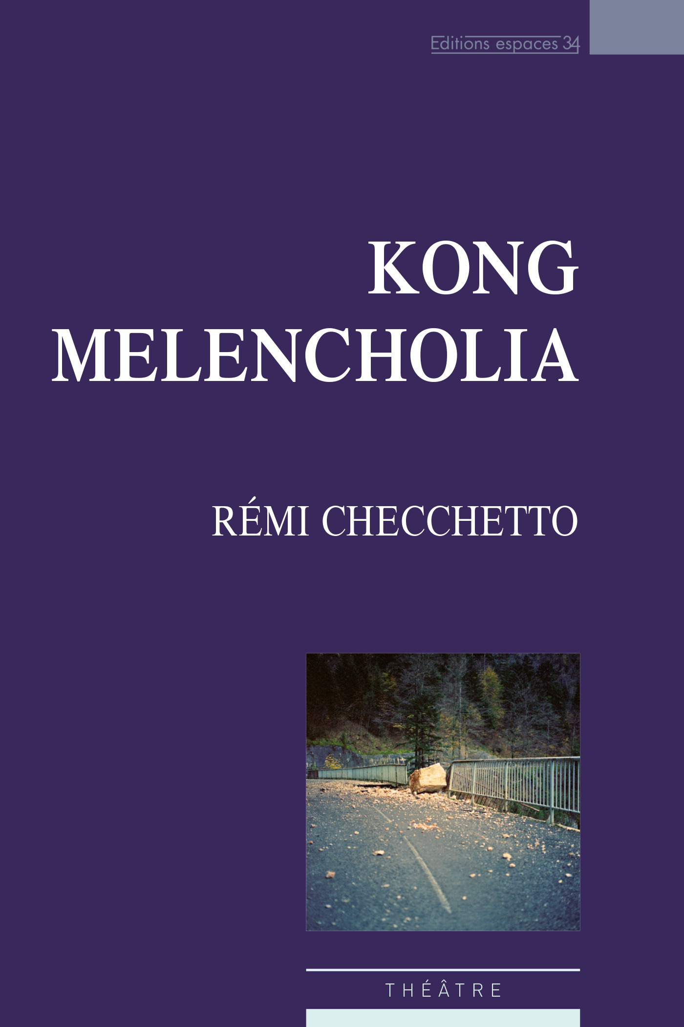 Couverture ebook de Kong Melencholia, de Remi Cecchetto