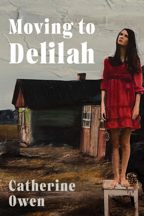 Couverture ebook de Moving to Delilah, de Catherine Owen