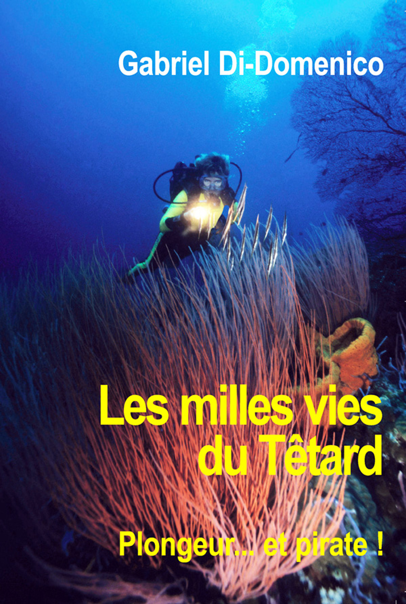 ebook cover of Les milles vies du Têtard, by Gabriel Di domenico