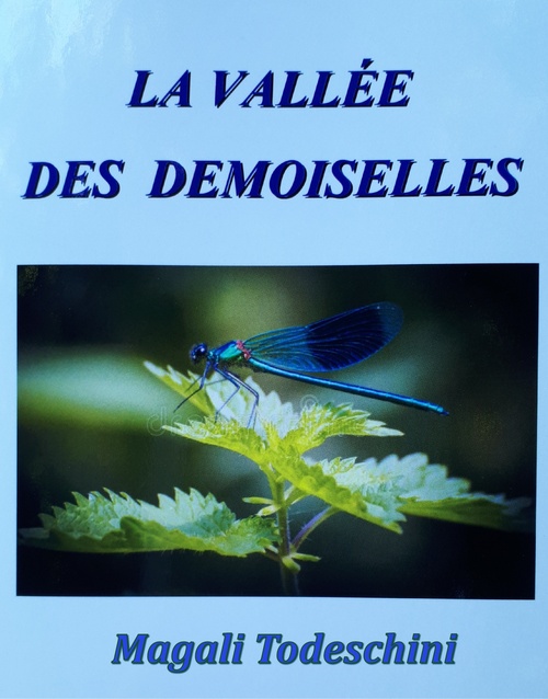 ebook cover of La Vallée des demoiselles, by Magali Todeschini