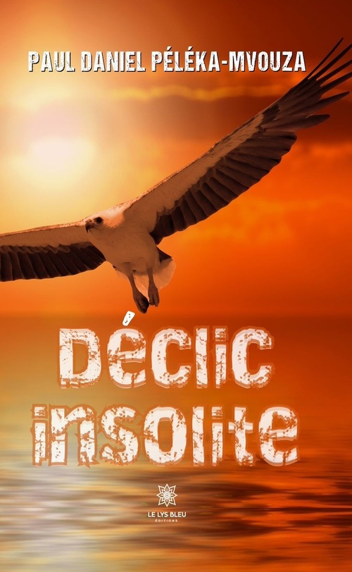 Couverture ebook de Déclic insolite, de Paul Daniel Péléka-Mvouza